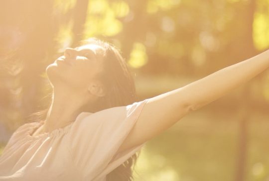 Protegido: Formación en Terapia Holística BÁSICA